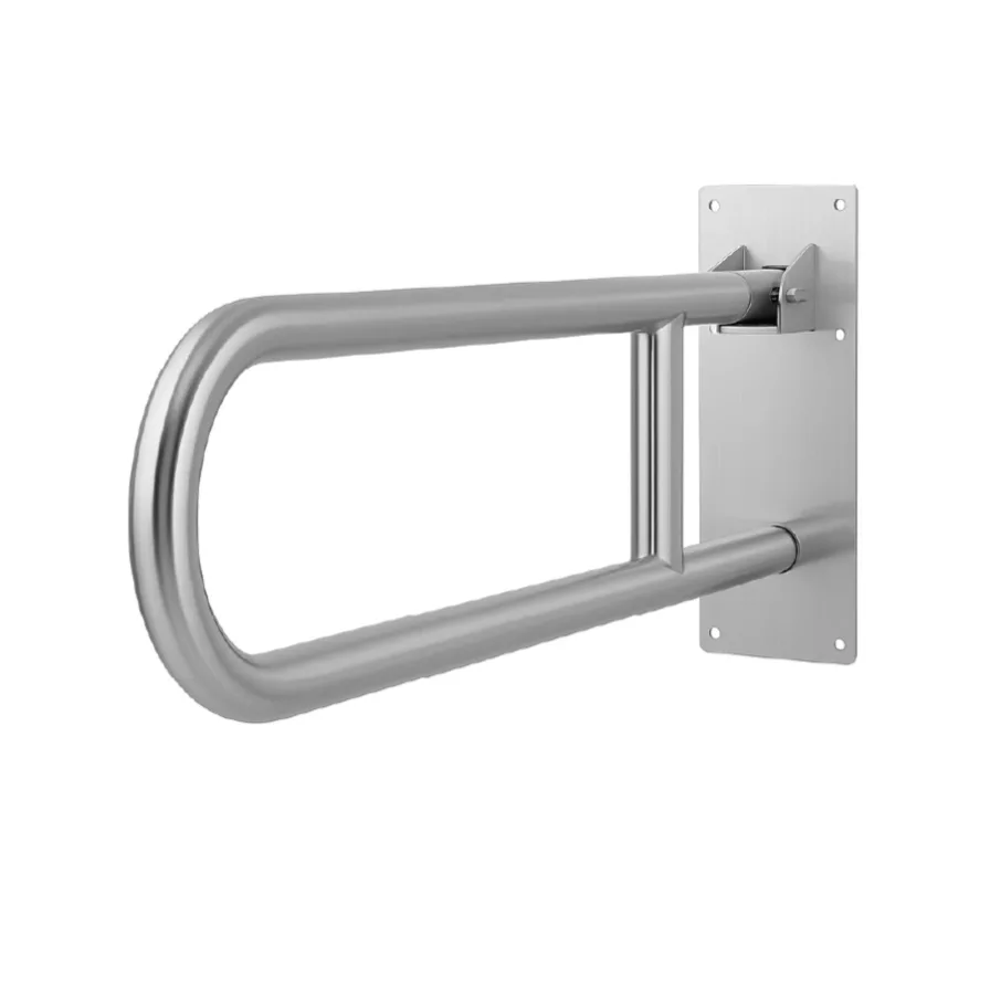 EGRS02 Swing Disabled Grab Bar
