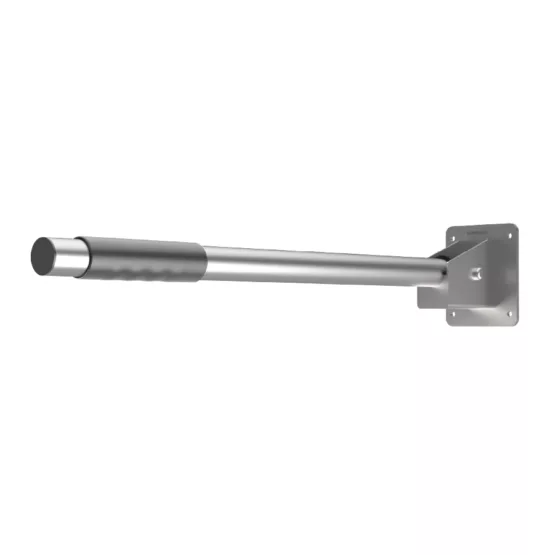 ESGR30S Disabled Grab Bar